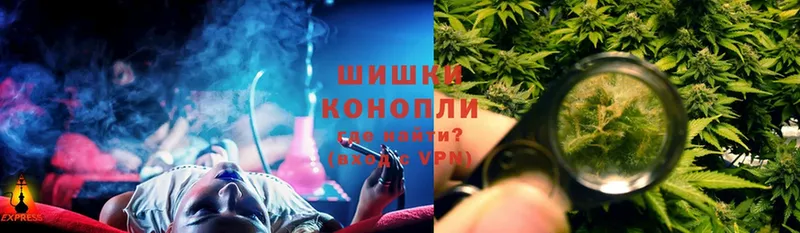 Бошки Шишки SATIVA & INDICA  купить наркотик  мега ТОР  Кузнецк 